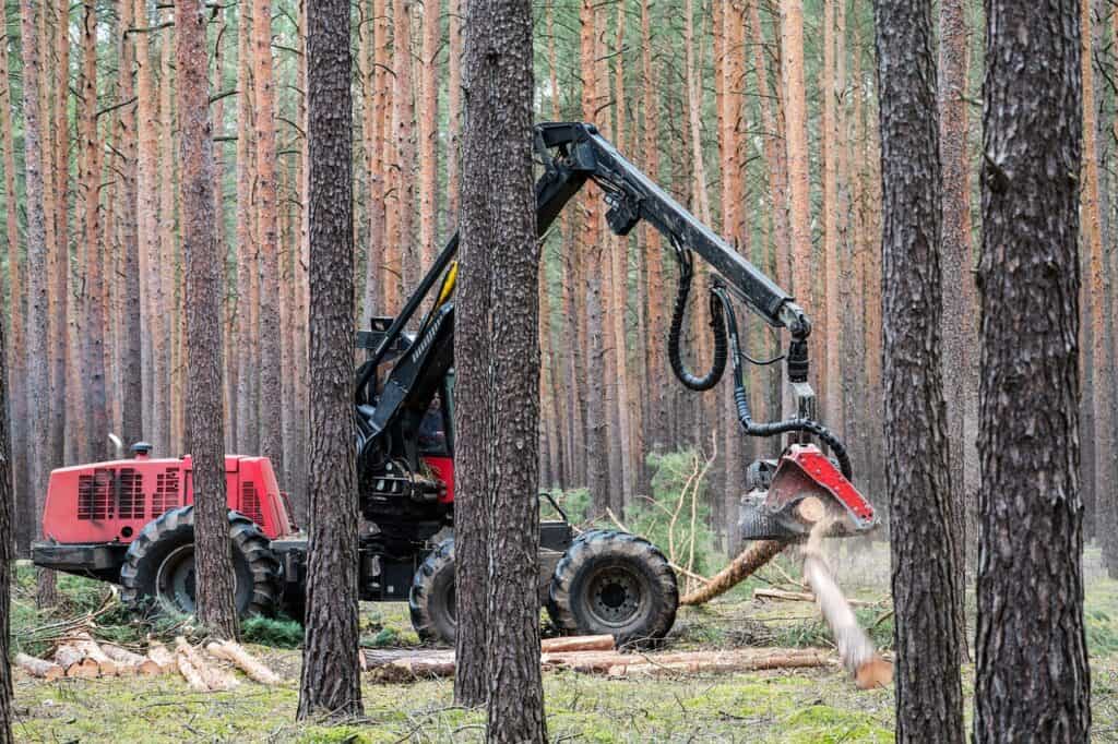 En röd skogsmaskin med kran arbetar bland höga tallar i en skog, med stockar på marken.